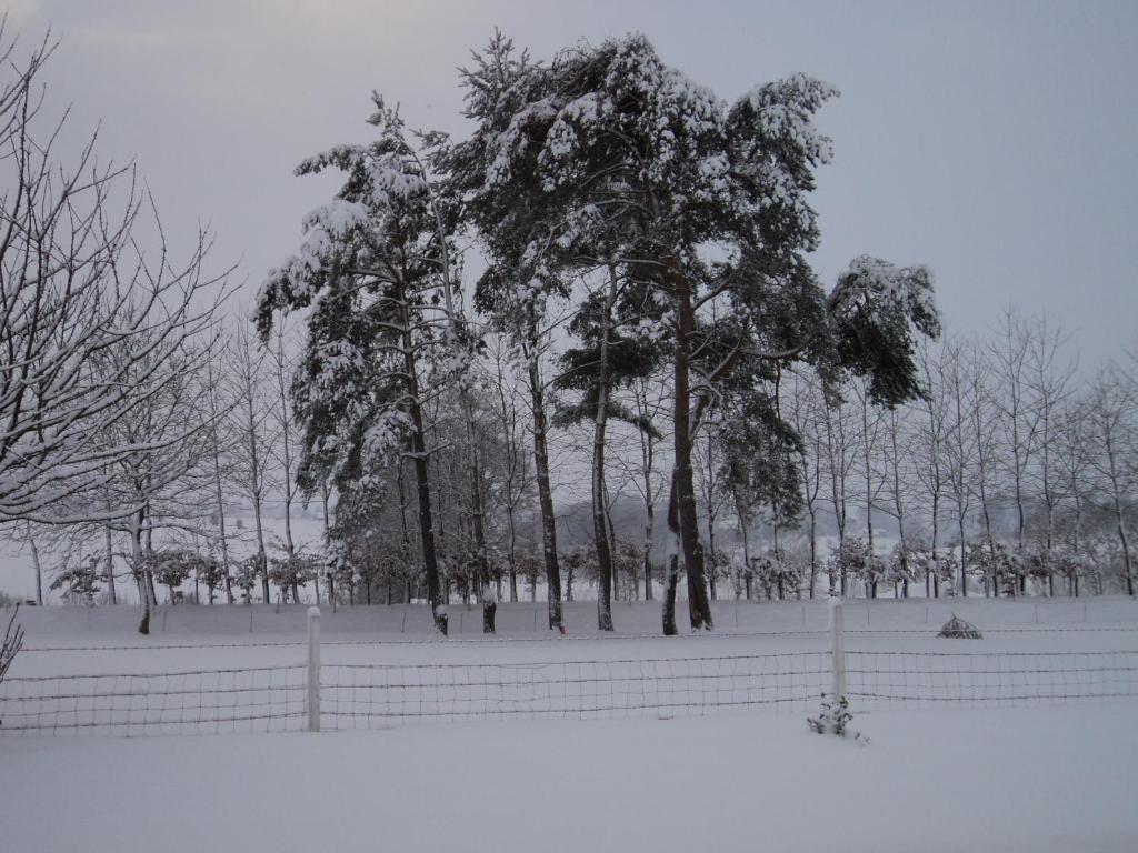 Bed and Breakfast La Demeure Vassonville Экстерьер фото