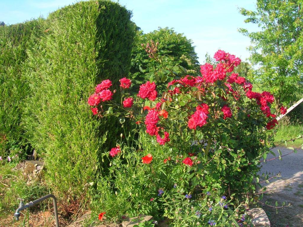 Bed and Breakfast La Demeure Vassonville Экстерьер фото